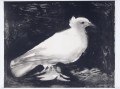 Oiseau de colombe cubisme noir et blanc Pablo Picasso